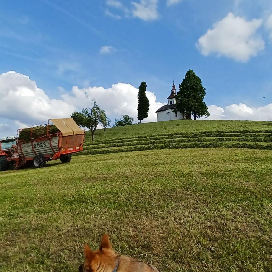 Apartmaji Pr Smolet Škofja Loka Exterior foto